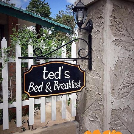 Ted'S Bed And Breakfast Santa Cruz  Exteriér fotografie