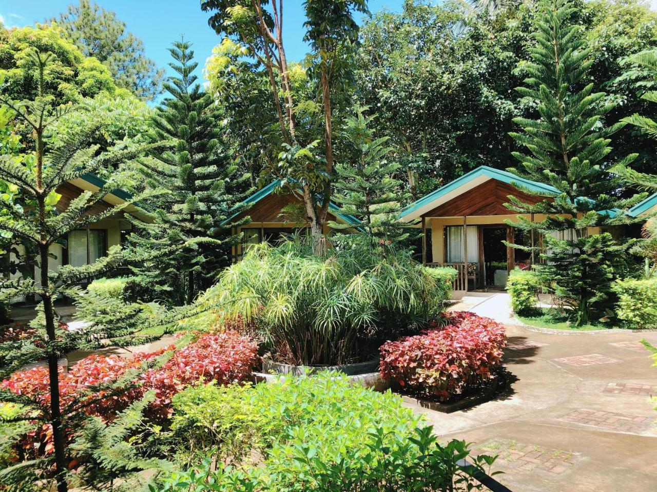 Ted'S Bed And Breakfast Santa Cruz  Exteriér fotografie